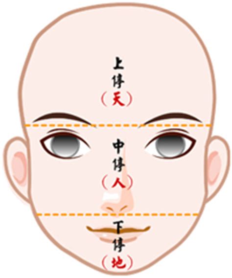 60歲面相|【面相館】流年法 (流年法的計算、通行流年法、流年。